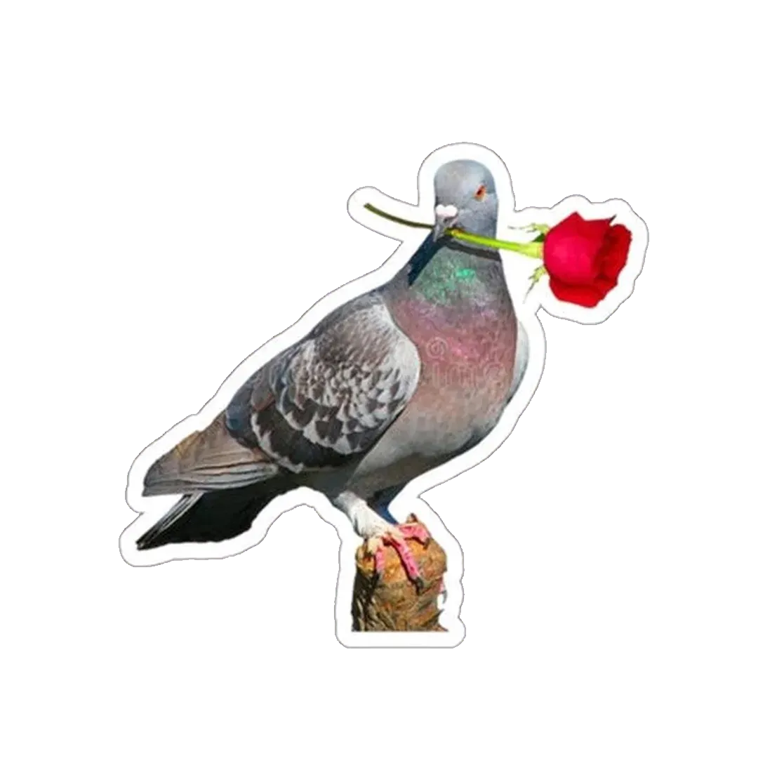 Romeo Pigeon Sticker - KHAJISTAN™