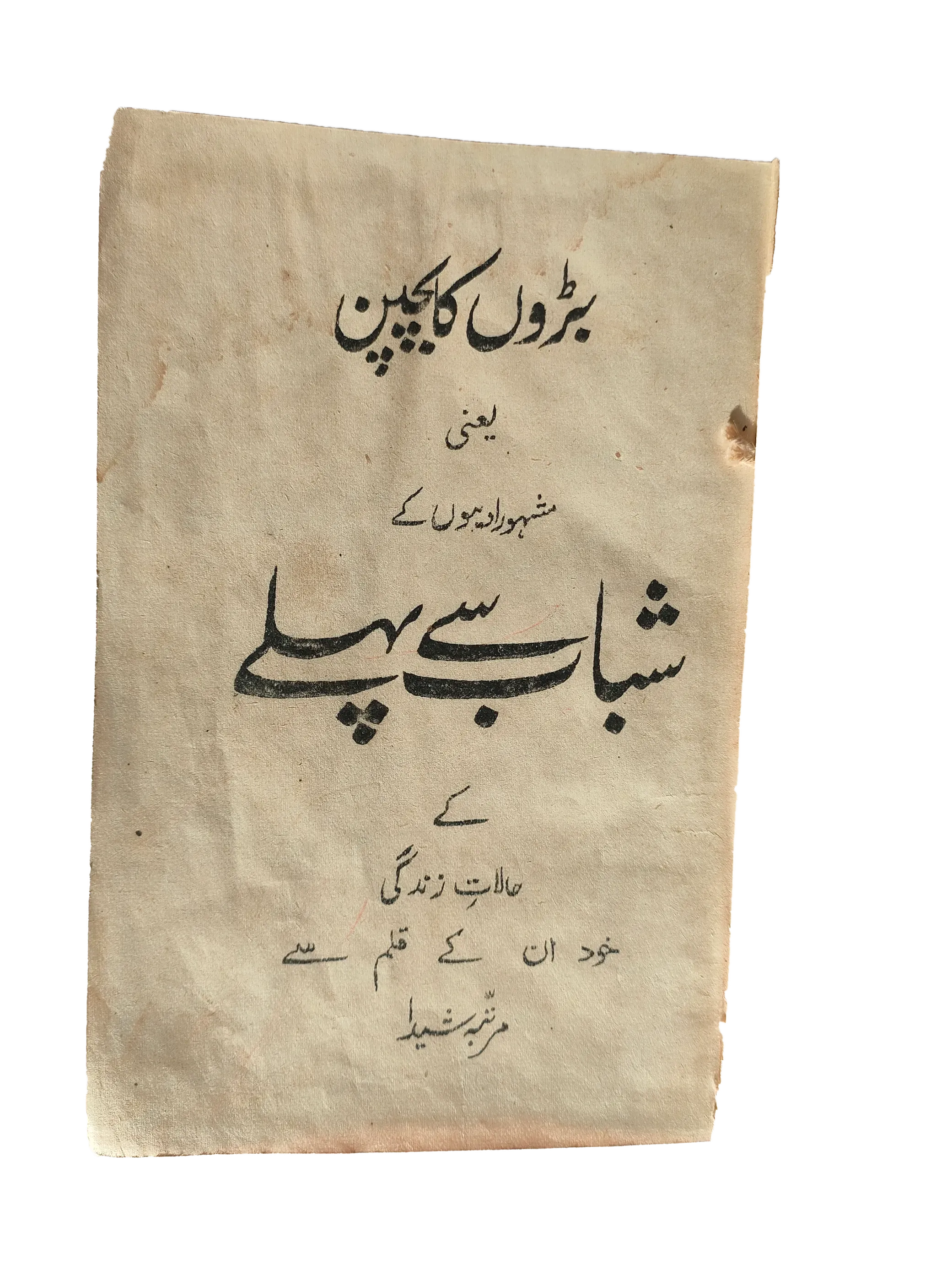 The Childhood of Adults - The Lives of Famous Writers Before Youth (Urdu) - KHAJISTAN™