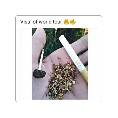 Autocollant Visa du Tour du Monde - 2" × 2" / Blanc