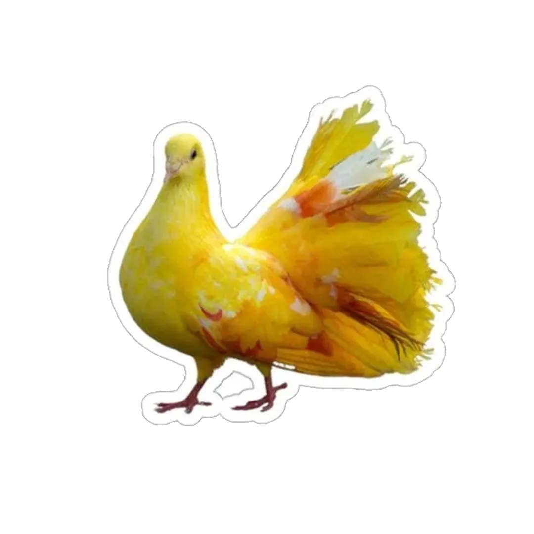 Yellow Pigeon Sticker - KHAJISTAN™