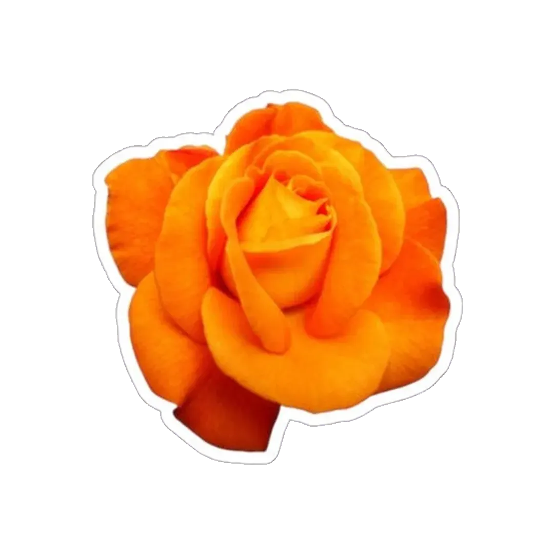 Yellow Rose Sticker - KHAJISTAN™