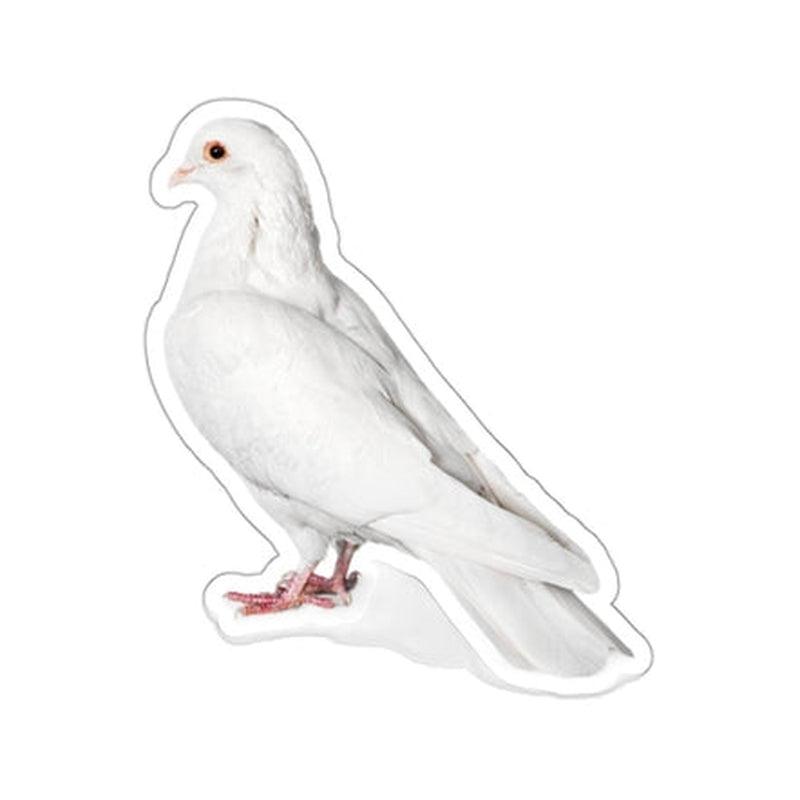 Meesna Pigeon Sticker KHAJISTAN