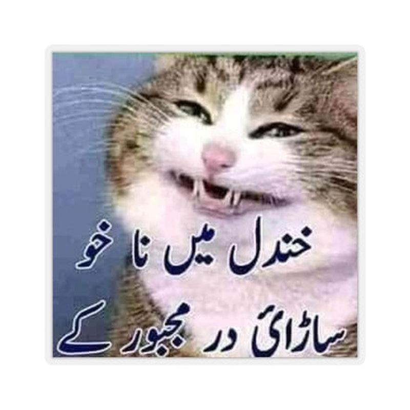 Pashto Funny Sticker KHAJISTAN