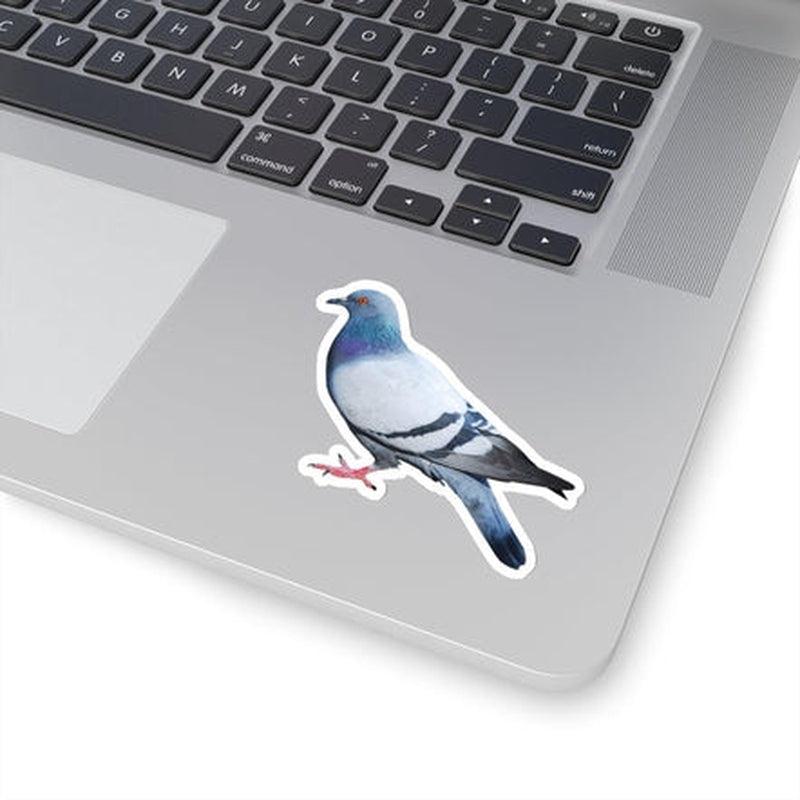 Pigeon Sticker KHAJISTAN