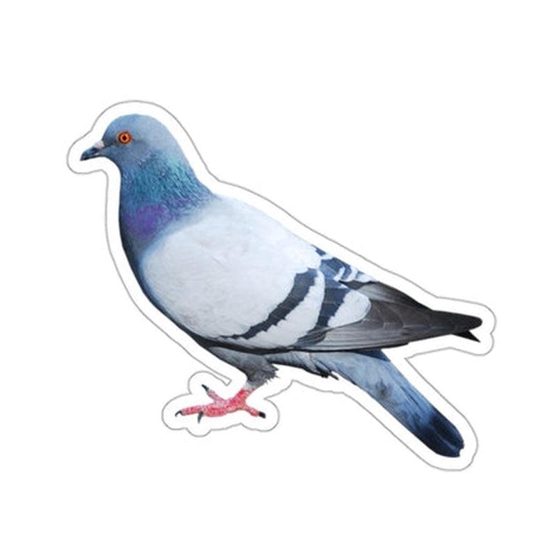 Pigeon Sticker KHAJISTAN