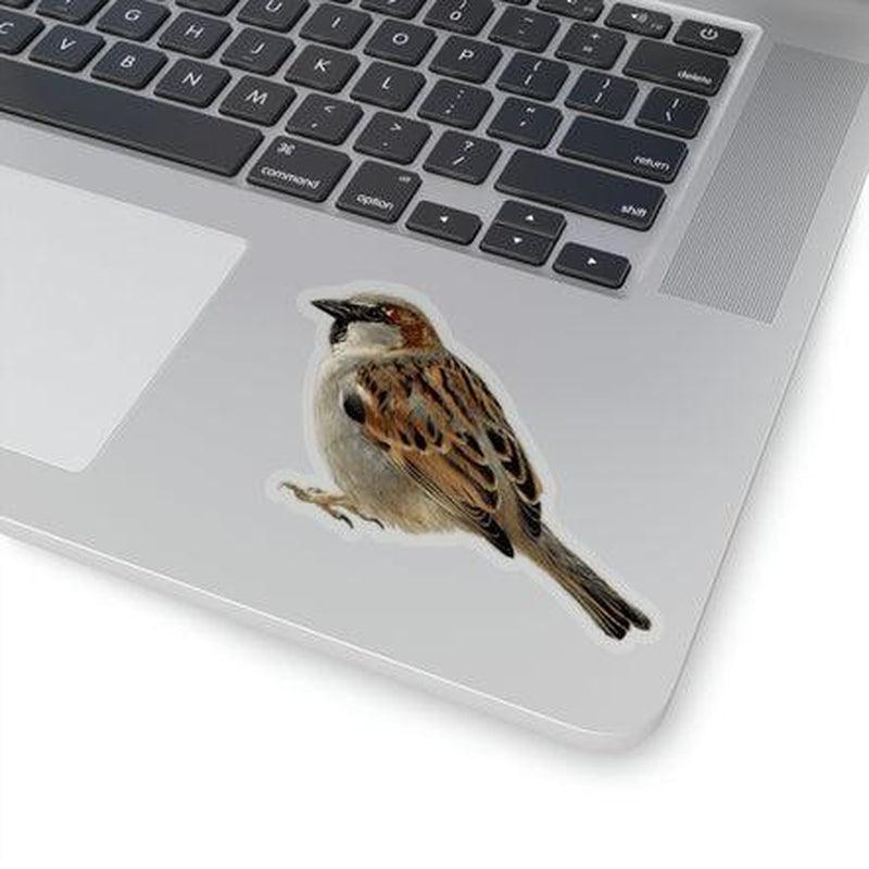 Sparrow Sticker KHAJISTAN