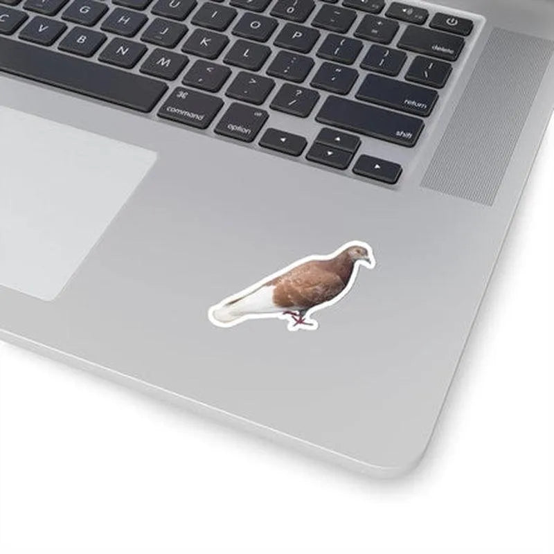 Brown Pigeon Sticker - KHAJISTAN™