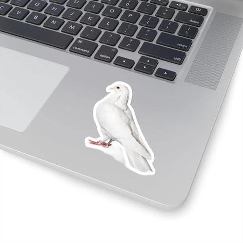 Meesna Pigeon Sticker - KHAJISTAN™