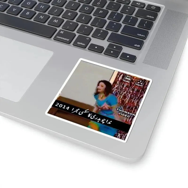 Nida Chaudhry 240p Sticker - KHAJISTAN™