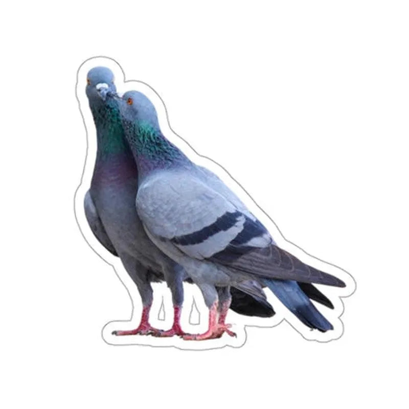 Pigeon Liplock Sticker - KHAJISTAN™