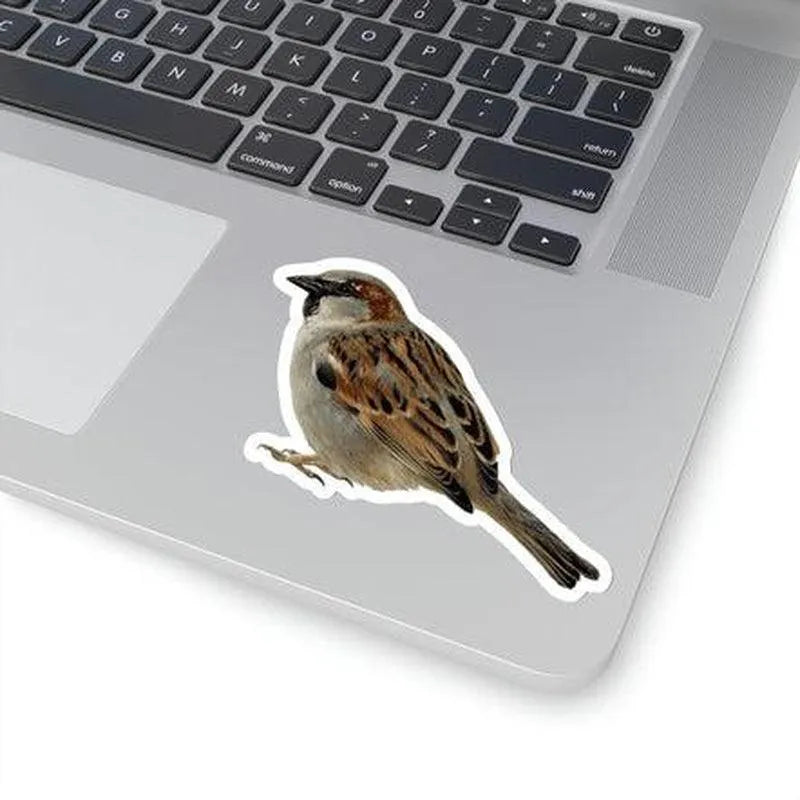 Sparrow Sticker - KHAJISTAN™